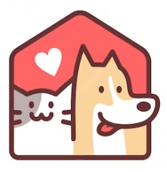 Service : chat Service : chat