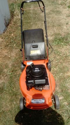 Service : entretien jardin Service : entretien jardin