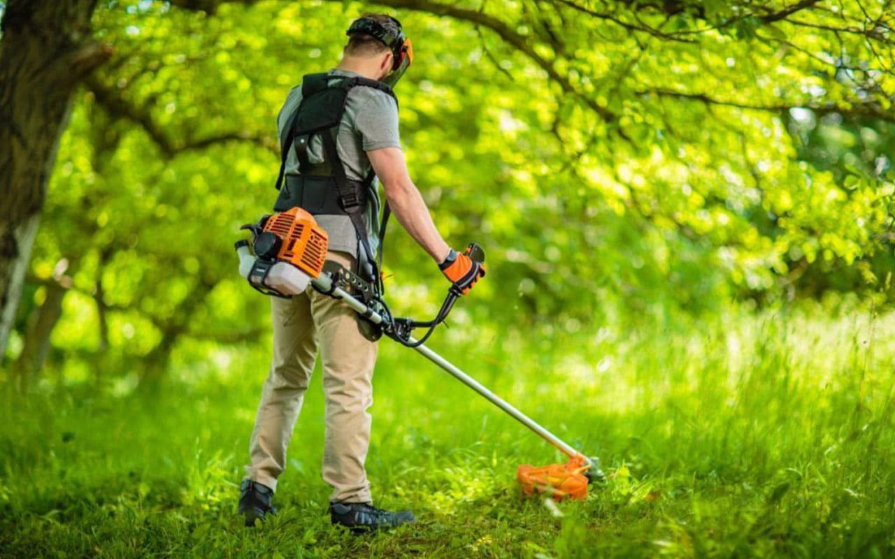 Service jardinage 81 entre particuliers