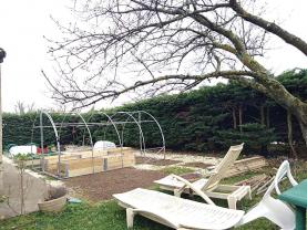 Service : taille de haies Service : taille de haies