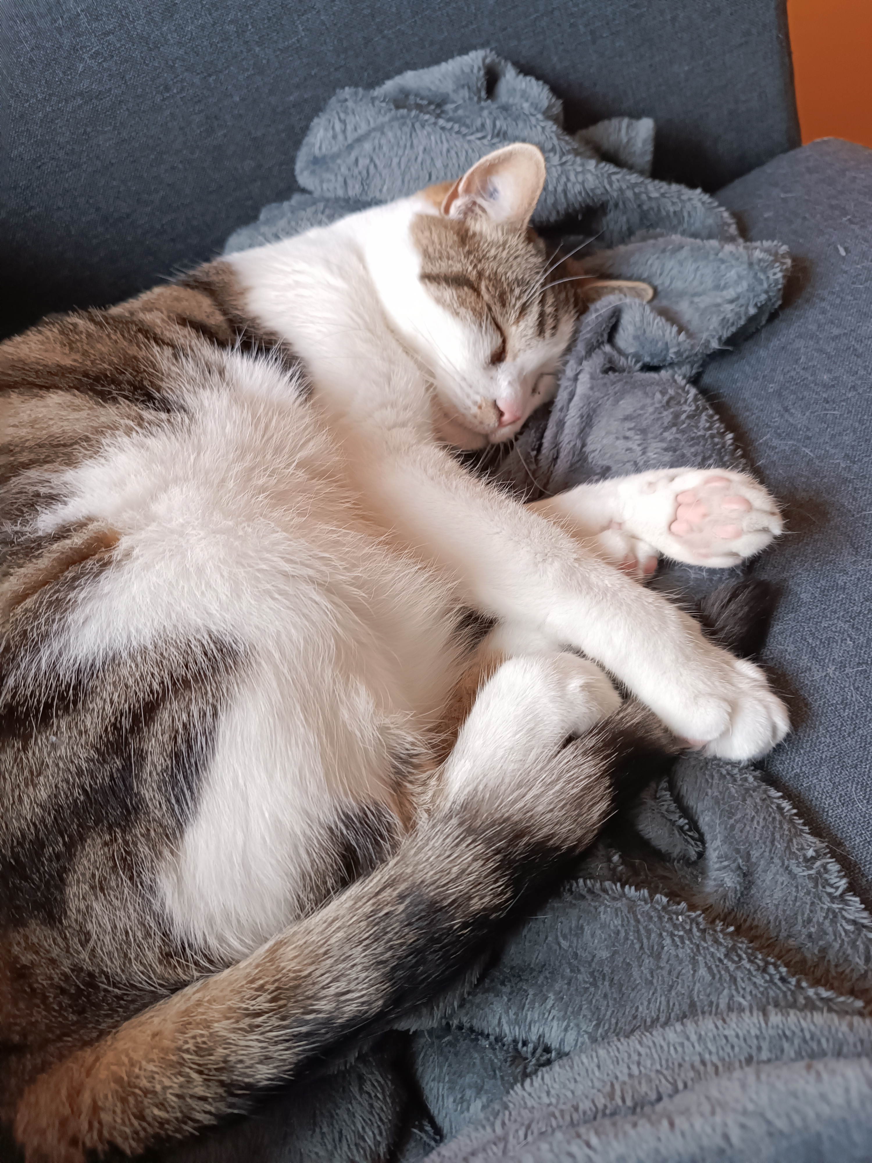 Service chat 69 entre particuliers