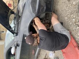 Service : mecanique auto Service : mecanique auto