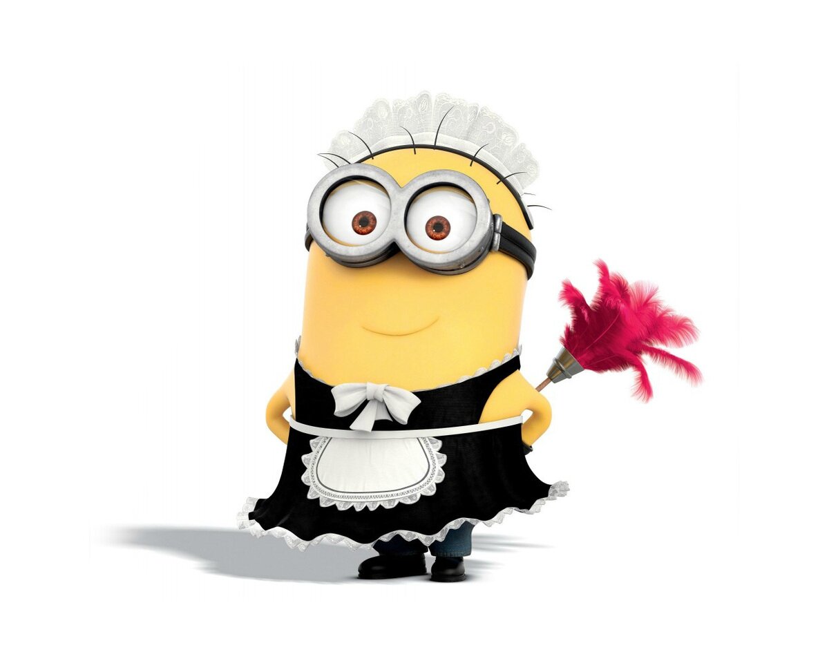Service nettoyage 14 entre particuliers
