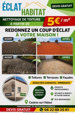 Service : nettoyage toiture