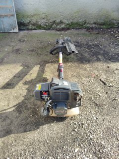 Location : taille haie