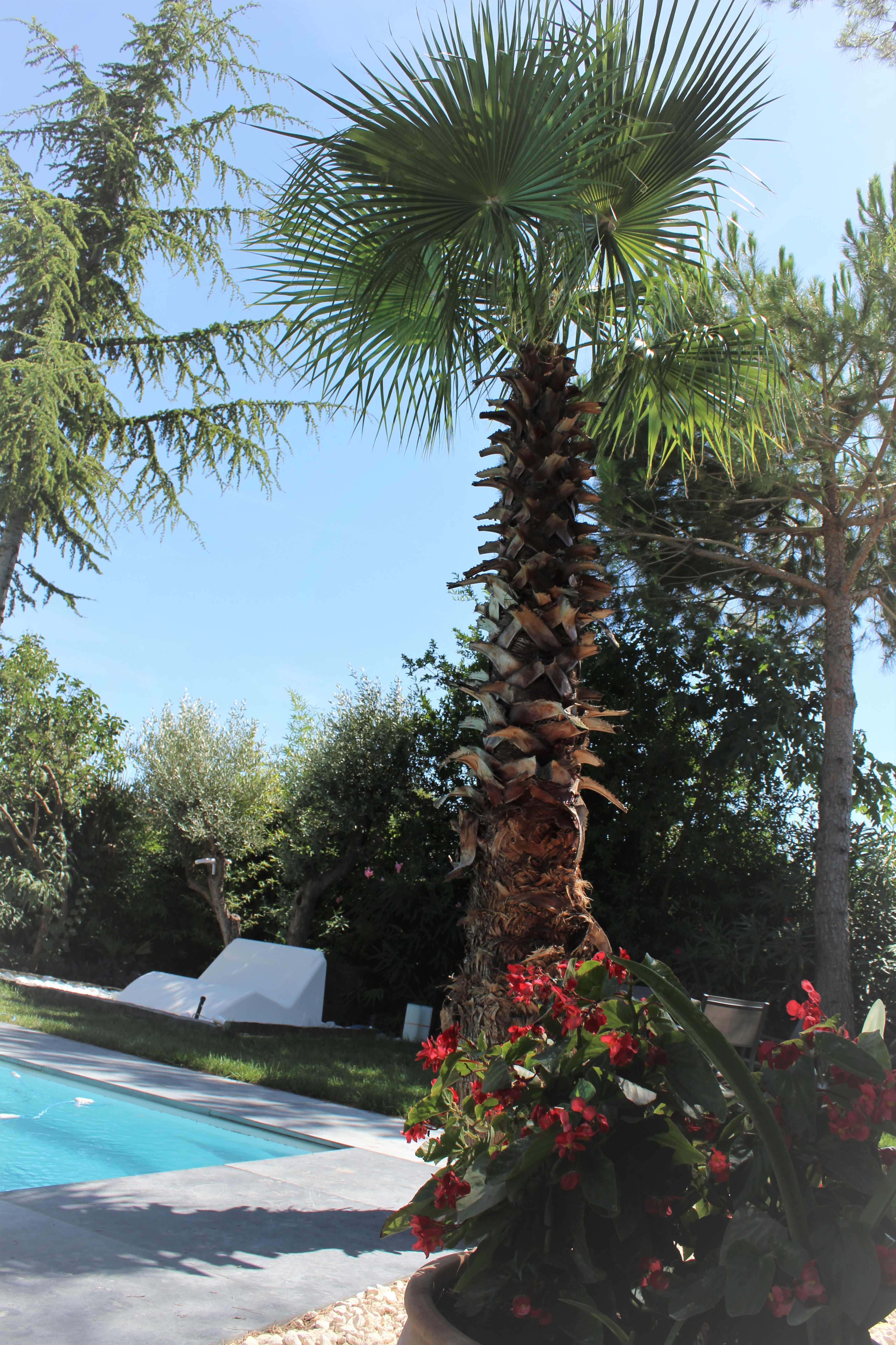 Location avec piscine 34 entre particuliers