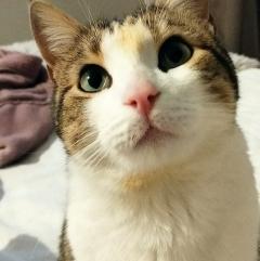 Service : chat Service : chat