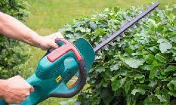 Location : taille haie Location : taille haie