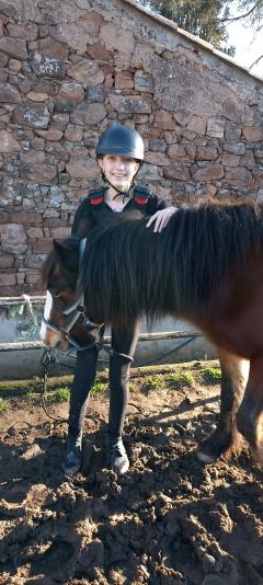 Service : garde animaux Service : garde animaux