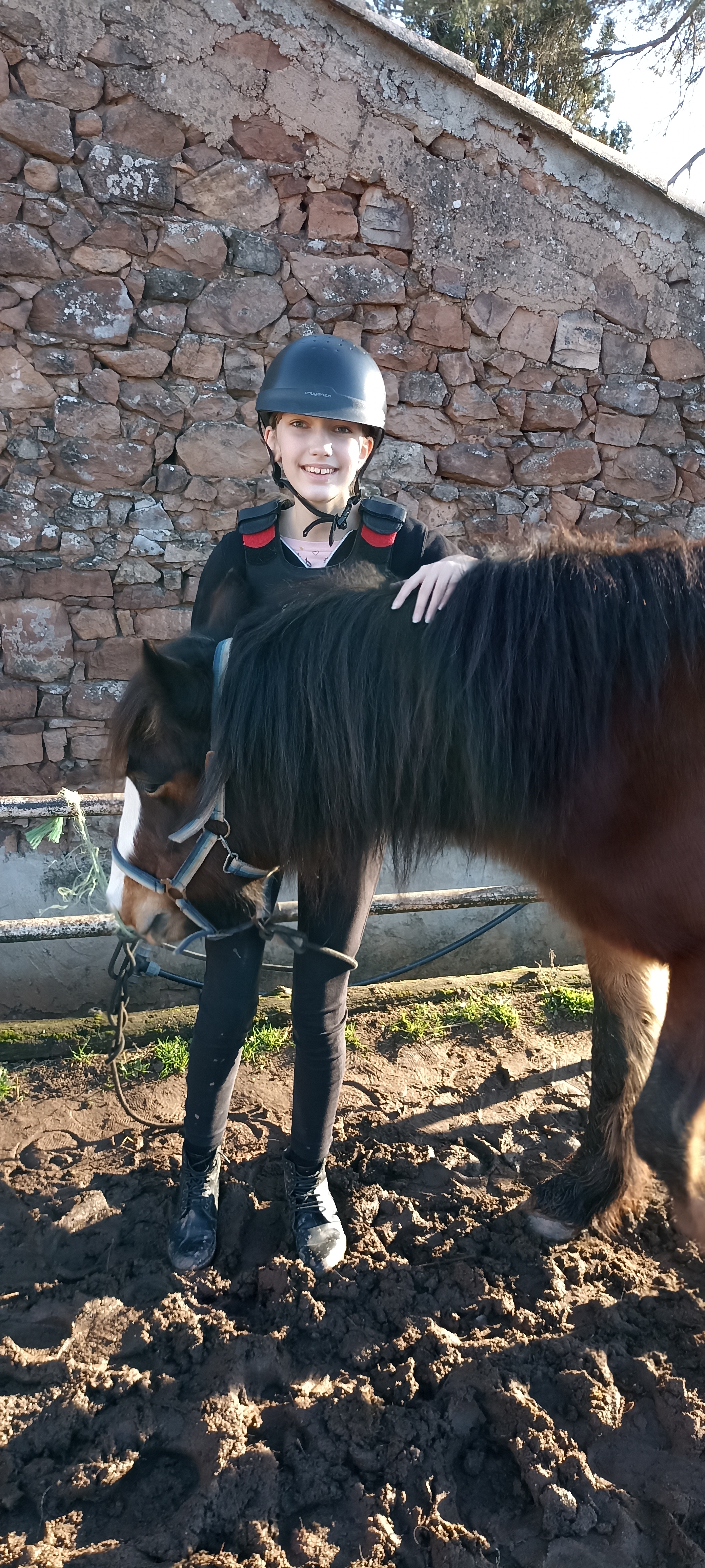 Service garde animaux 83 entre particuliers