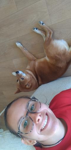 Service : garde animaux Service : garde animaux