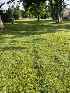 Location : autre Location : autre