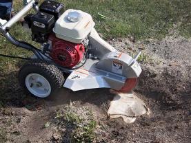 Location : rogneuse de souche Location : rogneuse de souche