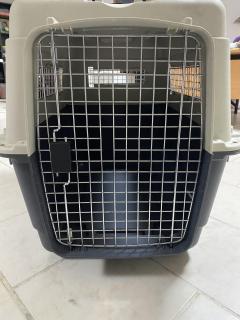 Cage de transport pour chien - Capture d'animaux