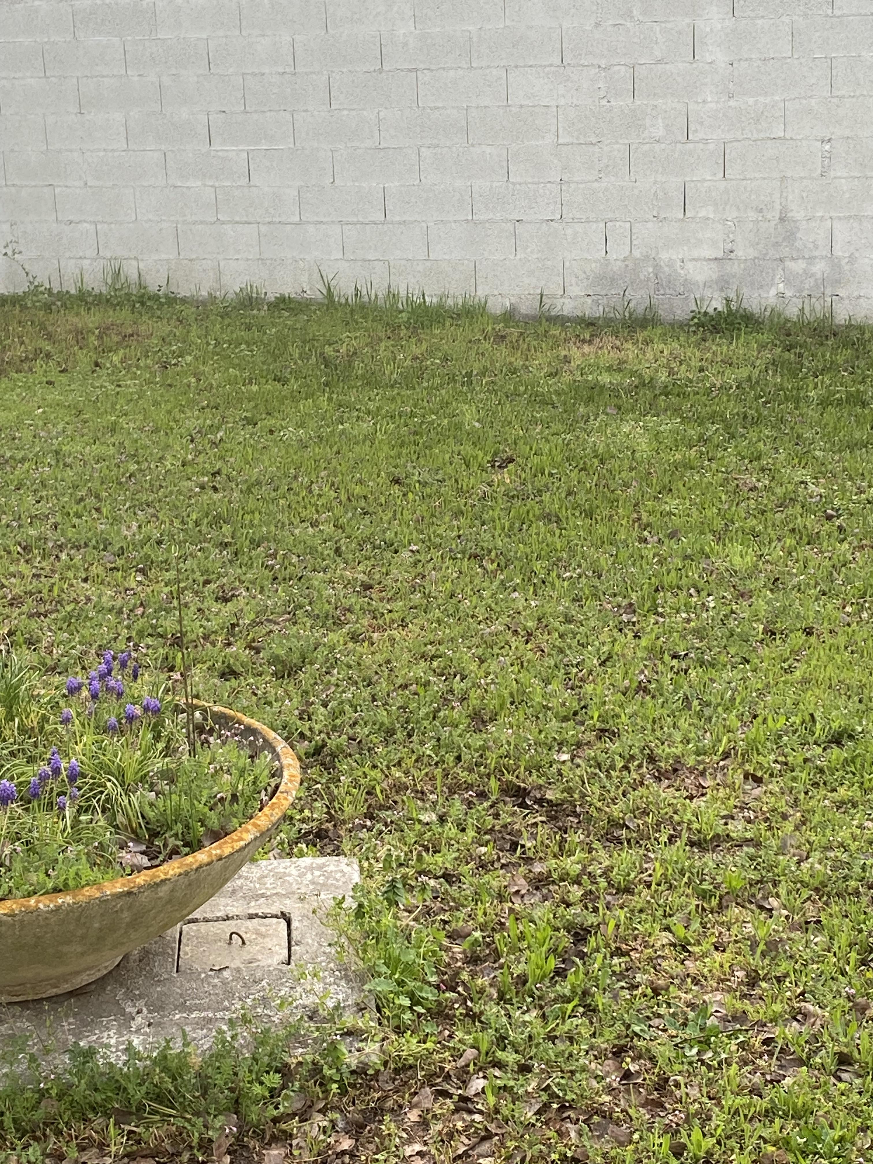 Service amenagement jardin 31 entre particuliers