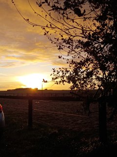 Service : nettoyage Service : nettoyage