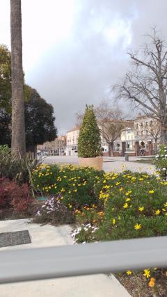 Service : nettoyage Service : nettoyage