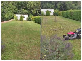 Service : tonte de pelouse Service : tonte de pelouse