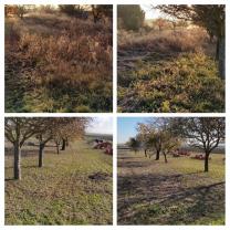 Service : debroussaillage Service : debroussaillage