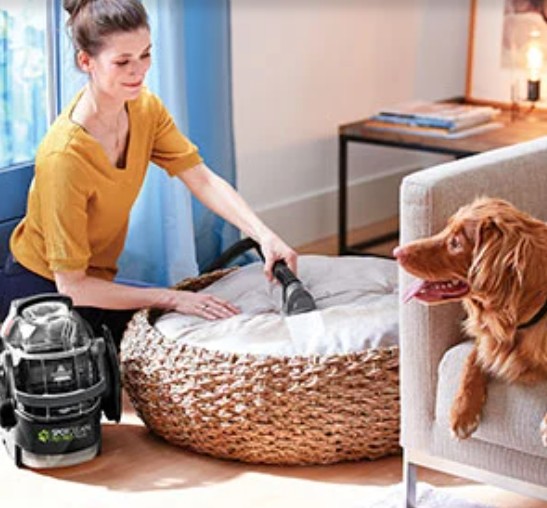 Location shampouineuse 06 entre particuliers