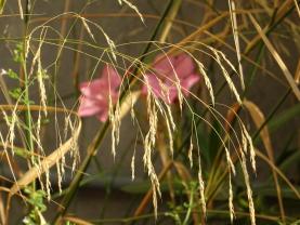 Location : colocation maison Location : colocation maison