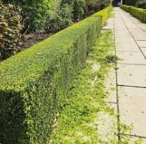 Demander ce jardinier