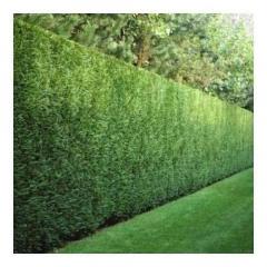 Demander ce jardinier