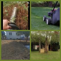 Service entretien espace vert entre particuliers
