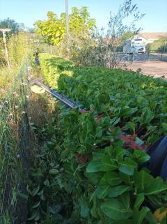 Service : entretien espace vert Service : entretien espace vert