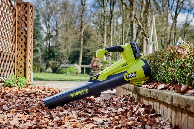 Location aspirateur souffleur 70 entre particuliers