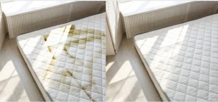 Service : nettoyage Service : nettoyage