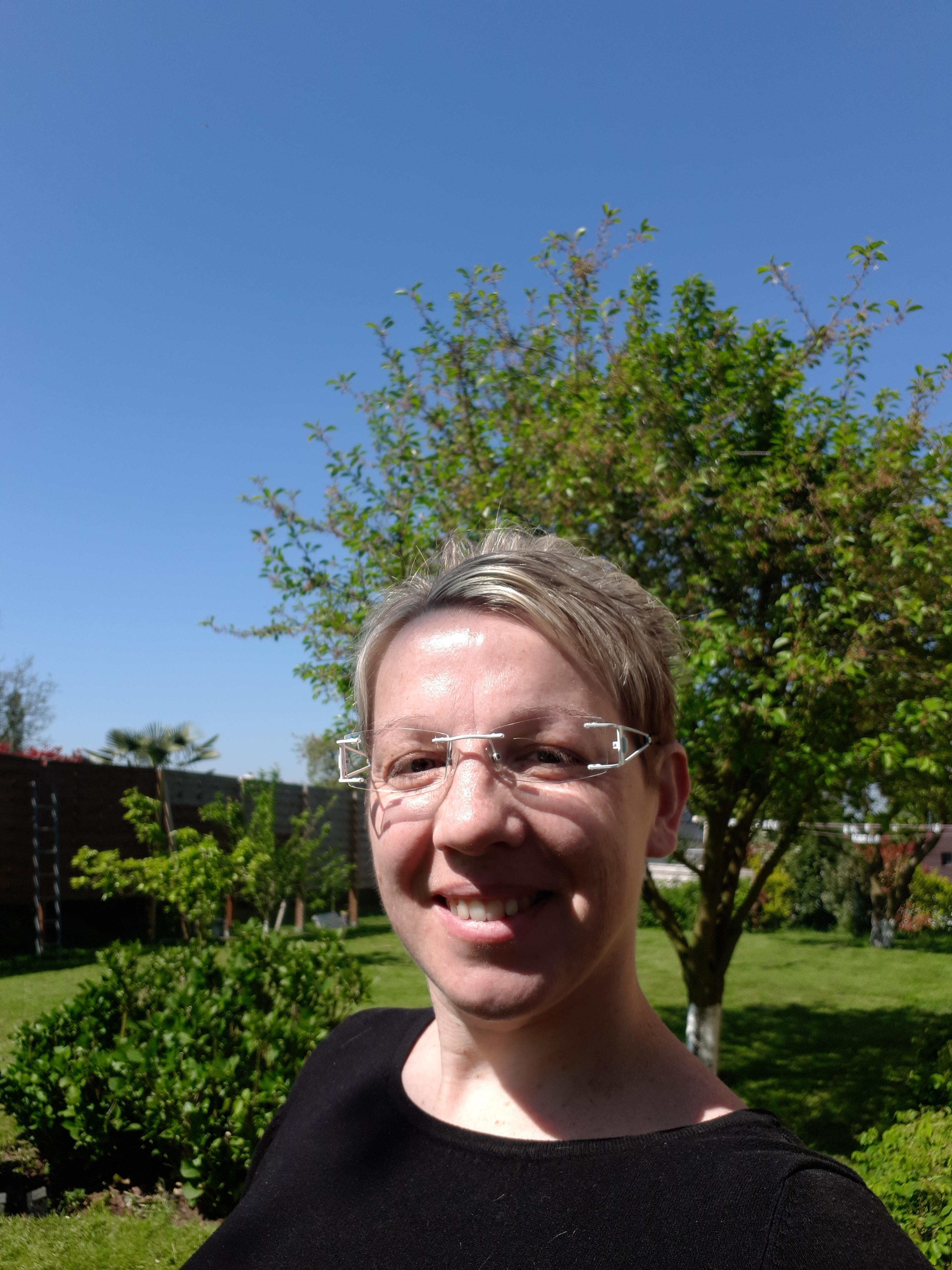 Service promeneur chien 76 entre particuliers