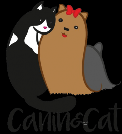 Service : chien Service : chien