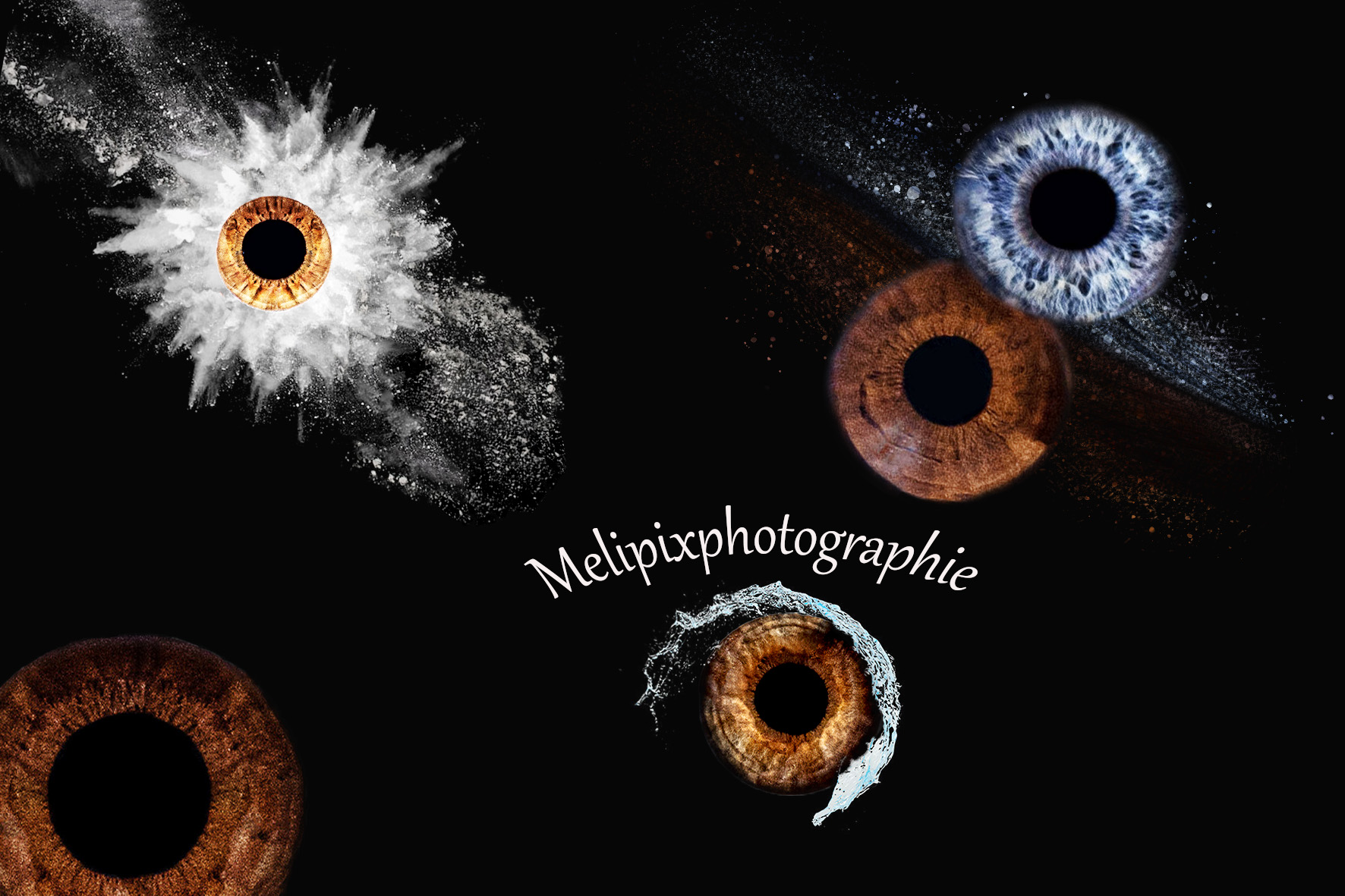 Service photographie 76 entre particuliers