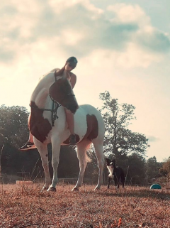 Service : garde animaux Service : garde animaux