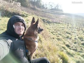 Service : garde animaux Service : garde animaux