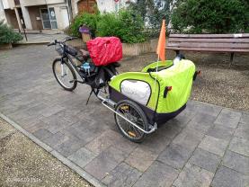 Service : aide aux courses Service : aide aux courses