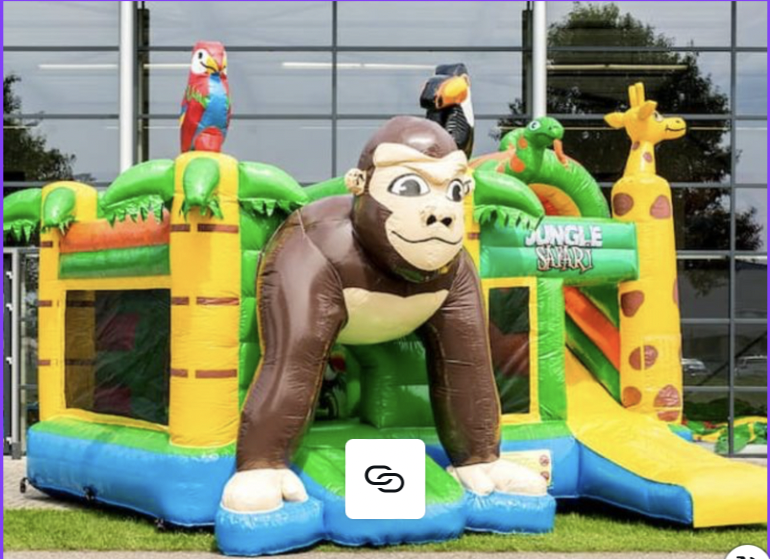 Location chateau gonflable 39 entre particuliers