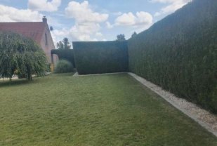 Location : autre Location : autre