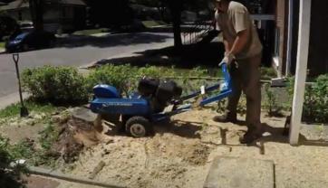 Location : rogneuse de souche Location : rogneuse de souche