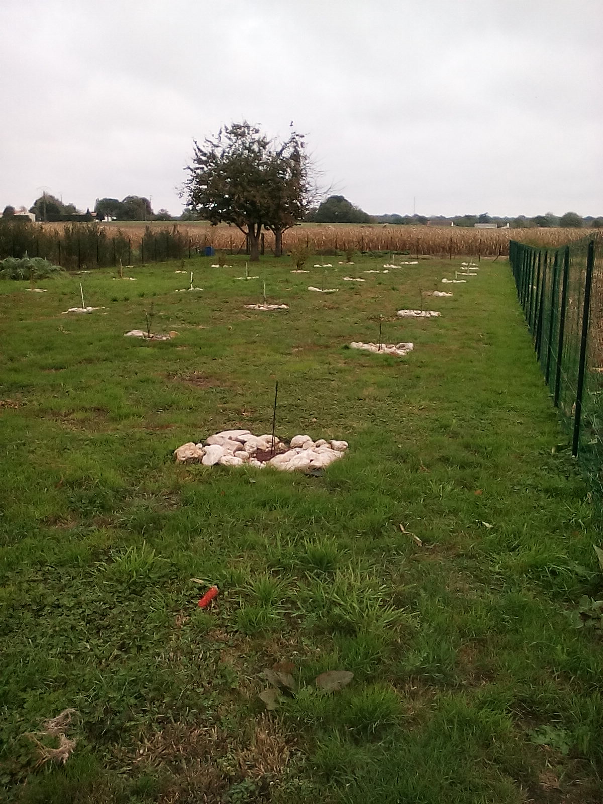 Location jardin potager 17 entre particuliers