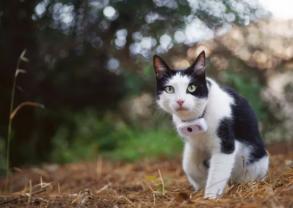 Location : autre Location : autre