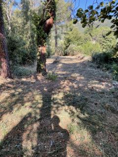 Service : debroussaillage Service : debroussaillage