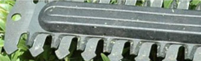 Location : taille haie Location : taille haie