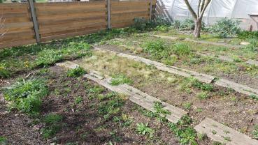 Location : motobineuse Location : motobineuse