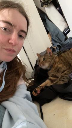 Demander ce catsitter