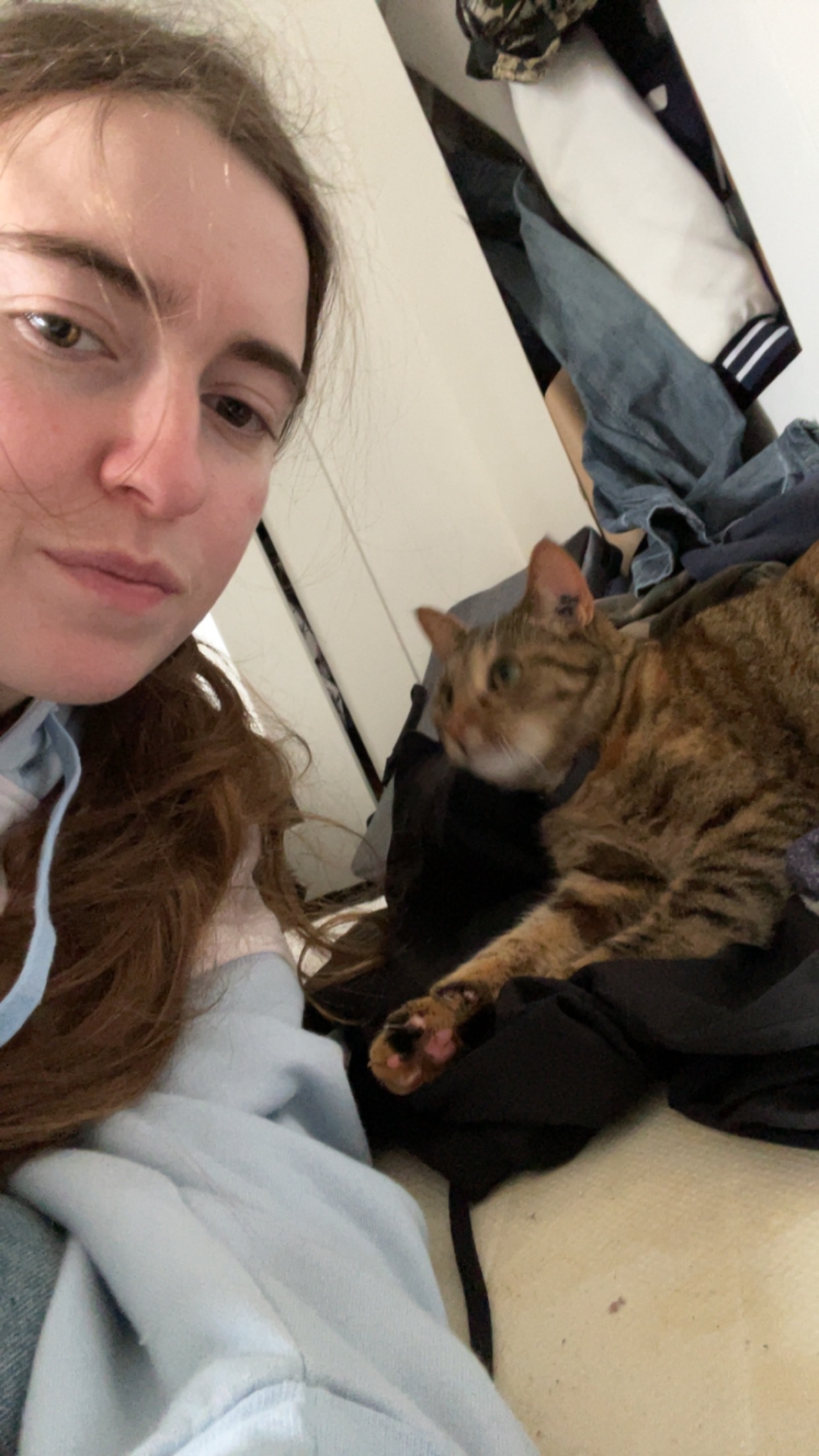 Service chat 38 entre particuliers