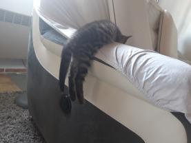 Service : chat Service : chat