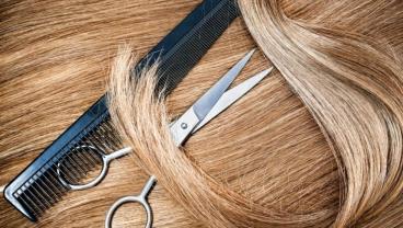 Service : service a personne Service : service a personne