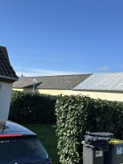 Service : taille de haies Service : taille de haies